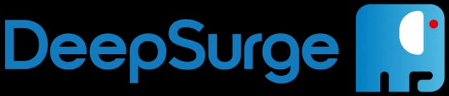 DeepSurge AI Logo